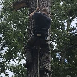 Meet your Posher, Terry